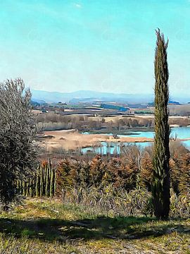 Eenzame cipres bij het Lago di Chiusi in Toscane van Dorothy Berry-Lound