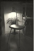 Beauty is everywhere