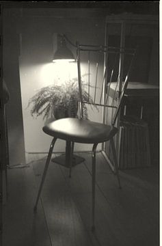 Beauty is everywhere