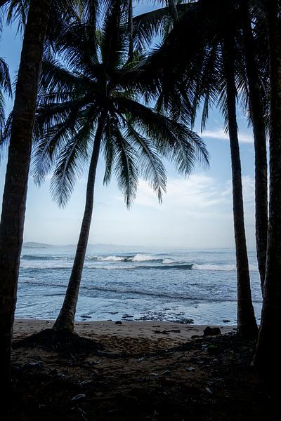 Secrets de l'éveil - Oasis de plage tropicale par Femke Ketelaar