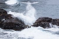 wild water
