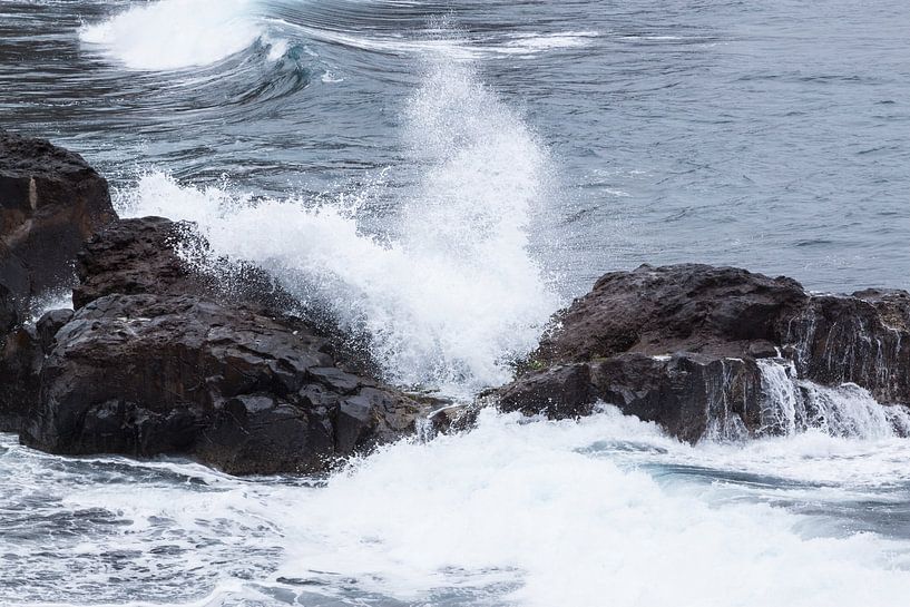 wild water by Gottfried Carls