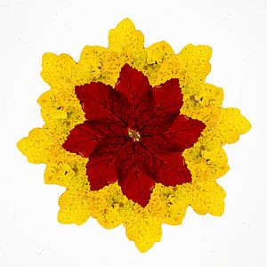 Kaléidoscope de feuilles d'automne
