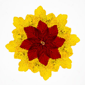 Kaléidoscope de feuilles d'automne