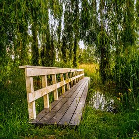 Brücke im Park (Suche nach der Natur) von Jeffrey Steenbergen