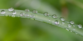 Gouttes d'eau
