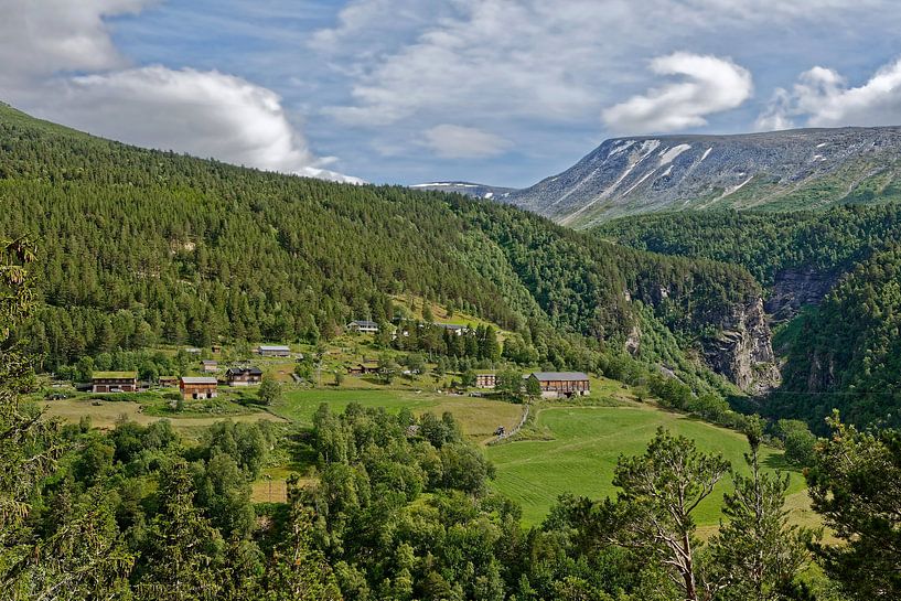 Norwegen, Sommer von Michael Schreier