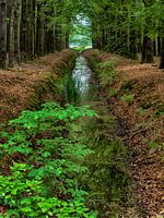 het groene laantje