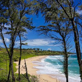 Donkey Beach - Hawaii von Gerard Van Delft