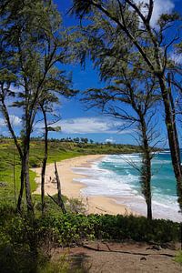 Donkey Beach - Hawaii sur Gerard Van Delft