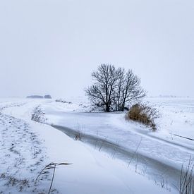 Winter op het Hogeland van Marnefoto .nl