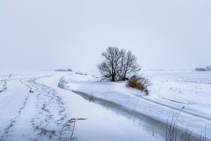 Winter op het Hogeland van Marnefoto .nl
