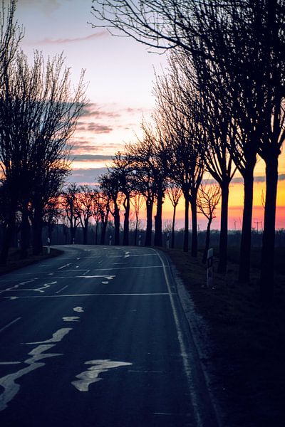 Sonnenallee by D.R.Fotografie