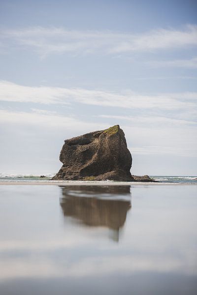 Cape Farwell: The Northern Tip of New Zealand by Ken Tempelers