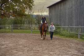 Training with the bay Oldenburg mare on a riding arena