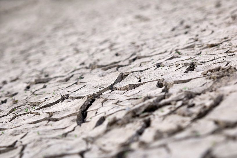 Droogte door klimaatverandering van Rüdiger Rebmann