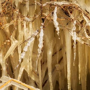 Ice sculpture