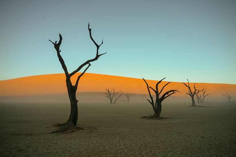 Tote Bäume in Deadvlei Namibia von Adri Klaassen