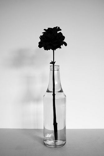 Stilleven 01