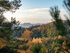 Großer Zschirnstein, Sächsische Schweiz - Pfaffenstein und Festung Königstein