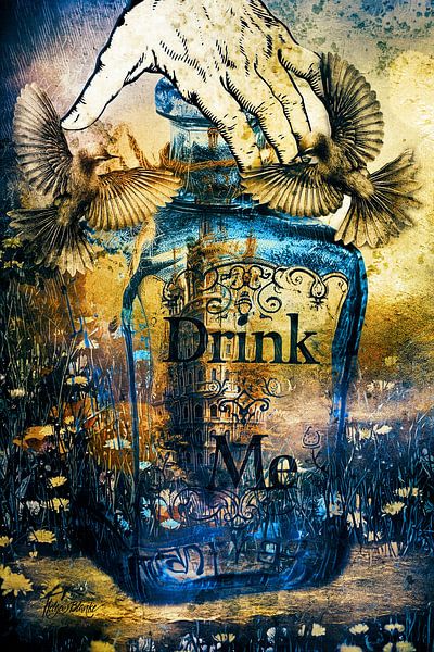 The bottle says drink me by Helga Blanke