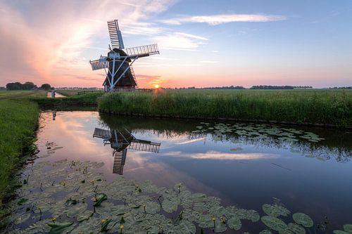 Windmill 't Witte Lam at sunset