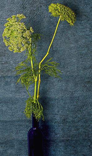 Nature morte de fleurs dans une bouteille bleue