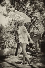 Sonnenschein nach Regen von Kees de Knegt