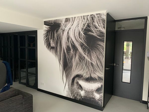 Customer photo: Portrait Scottish Highlander black and white by Sandra van Kampen, as wallpaper