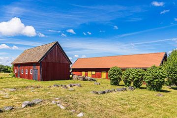 Red wooden houses and trees on the island of Sladö in Sweden