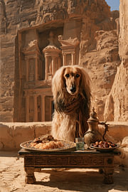 Afghan Hound in Petra Jordanien von Erika Kaisersot