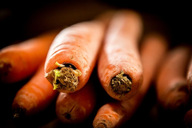 Meet the Carrots von Jelte Bosma