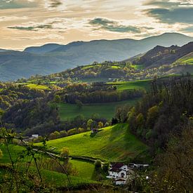 Charakteristische Landschaft mit weißem Bauernhaus von Ton Van Zeijl