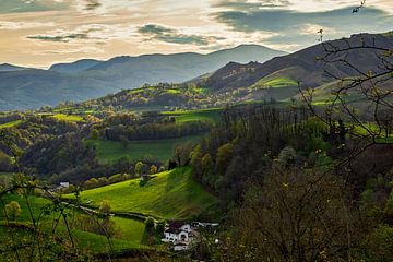 Characteristic landscape with white farmhouse by Ton Van Zeijl