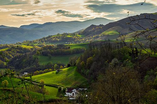 Karakteristiek landschap met witte boerderij van Ton Van Zeijl