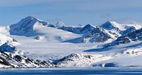 Getijdegletsjer op Spitsbergen van Rini Kools thumbnail