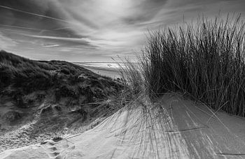 Paysage de dunes près de Rockanje