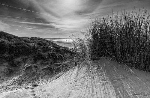 Duinlandschap bij Rockanje