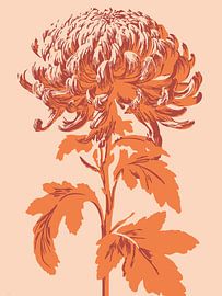 Yellow Chrysanthemum by Jansje Kamphuis