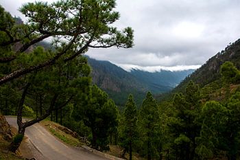 Natuurfoto van La Palma
