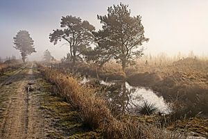 National Park Groote Peel