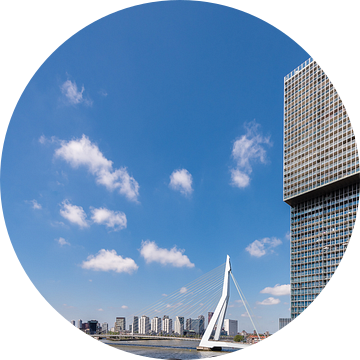De Rotterdam en de Erasmusbrug (horizontaal)