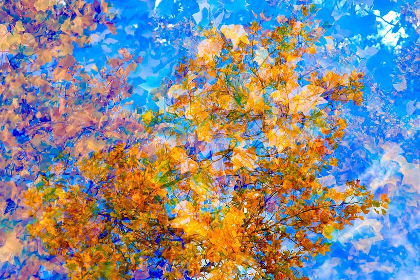 Golden October by Thomas Jäger