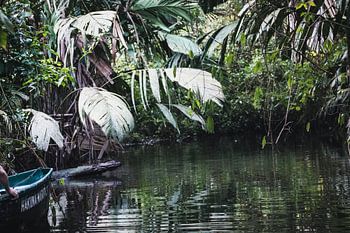 Boottocht door Tortuguero – Ontdekkingstocht door het groene labyrint