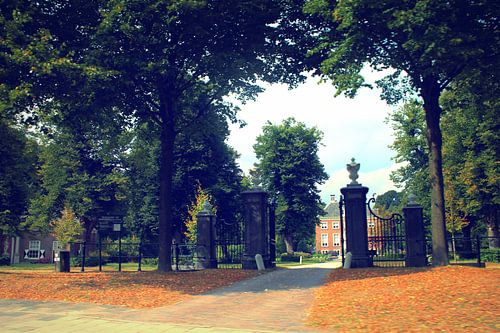 Kleurrijk, kracht en rust.