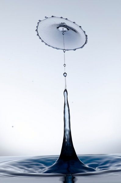 Zwarte druppel in een paraplu vorm van Focco van Eek