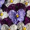 Violets with water droplets by Marjolijn van den Berg