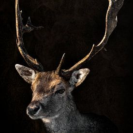 Hert portret met donkere achtergrond en groot gewei als schilderij van Steven Dijkshoorn