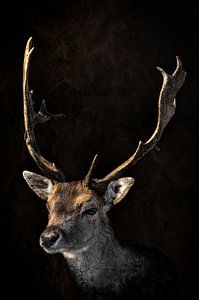 Hert portret met donkere achtergrond en groot gewei als schilderij van Steven Dijkshoorn