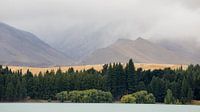 De kust van het Tekapo meer, Nieuw Zeeland van Armin Palavra thumbnail